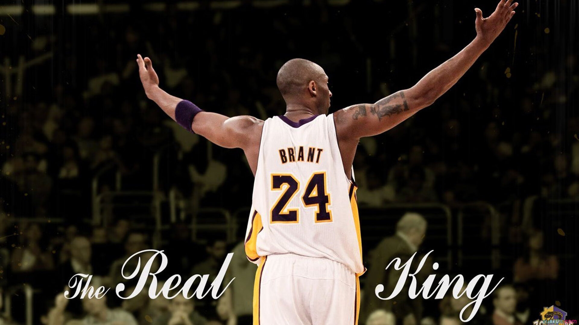 欧文成为胜负手，F1新赛季揭幕战之夜，体育如何消解世界的敌意？